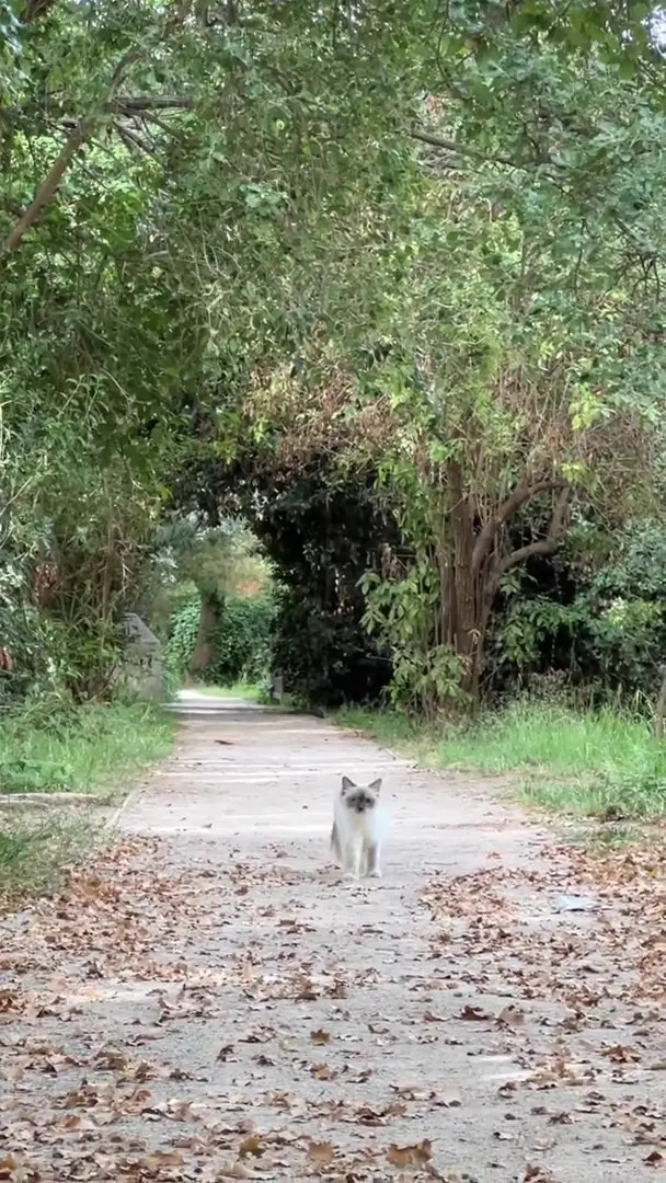 Nym Nude Leaked OnlyFans Video #105404