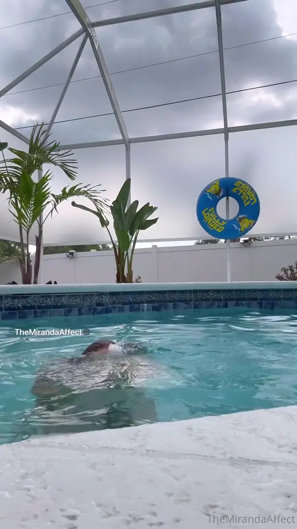 Themirandaaffect OnlyFans Leaked Nude Video #117730