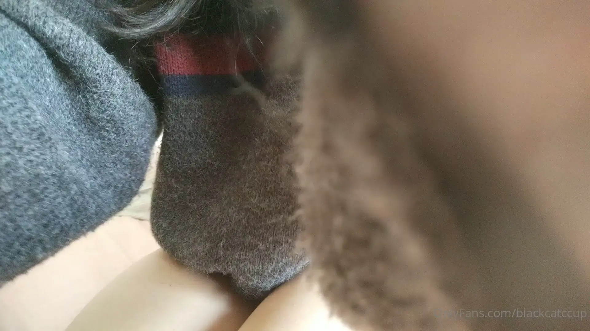 Ofblackcatluna Nude Leaked OnlyFans Video #126701