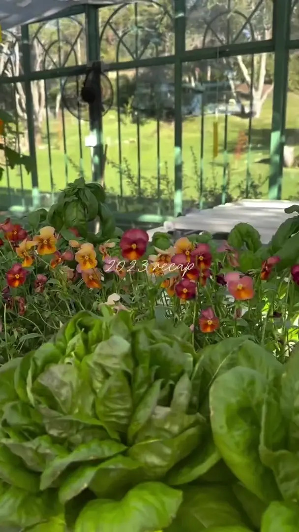 Maguiansuz OnlyFans Leaked Nude Video #142567