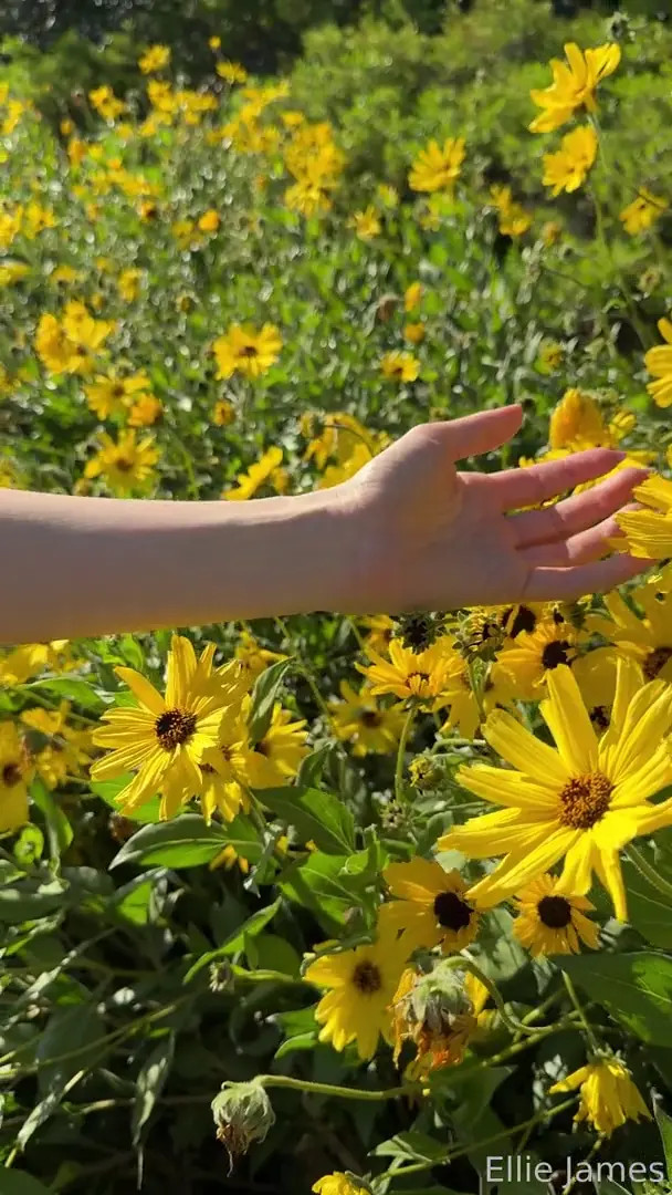 Elliejames OnlyFans Leaked Nude Video #146325