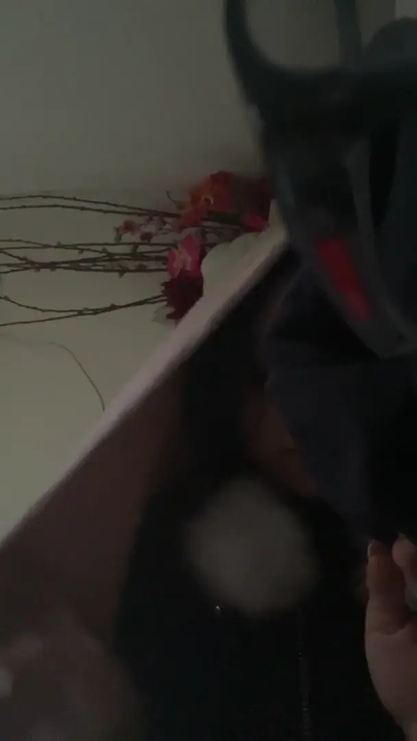 Rosajadeli OnlyFans Leaked Nude Video #148556