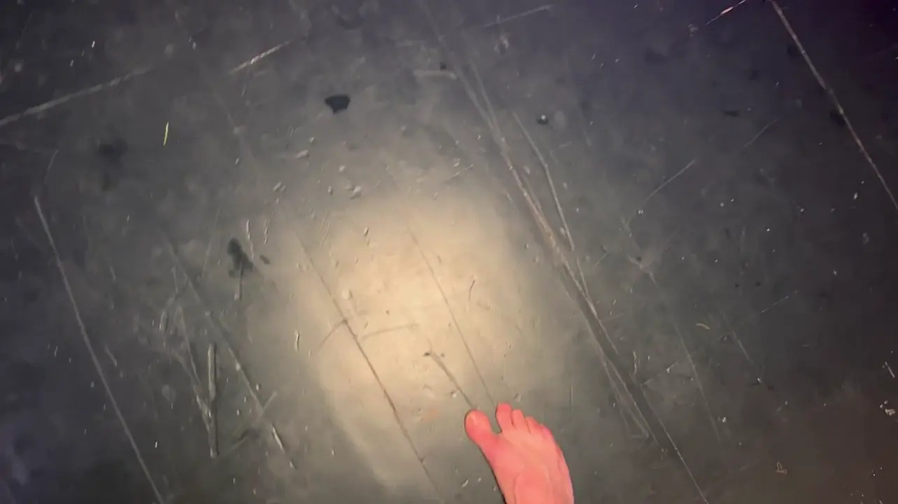 Hotwife Alice In A Mega Orgy With Black Strangers