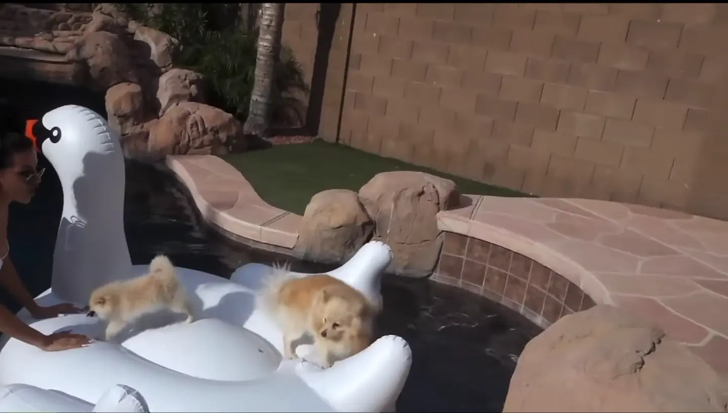 Sssniperwolf Nude Leaked OnlyFans Video #156079