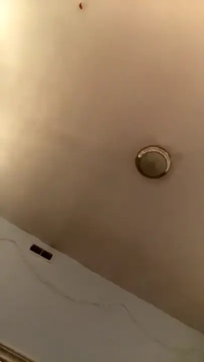 GiaxHassan Gives A Titjob And Blowjob