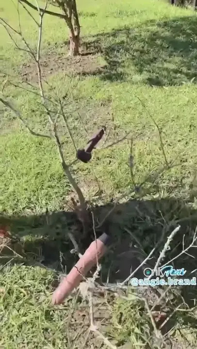 Angie Brand Scissors With Paola Vega Outdoors