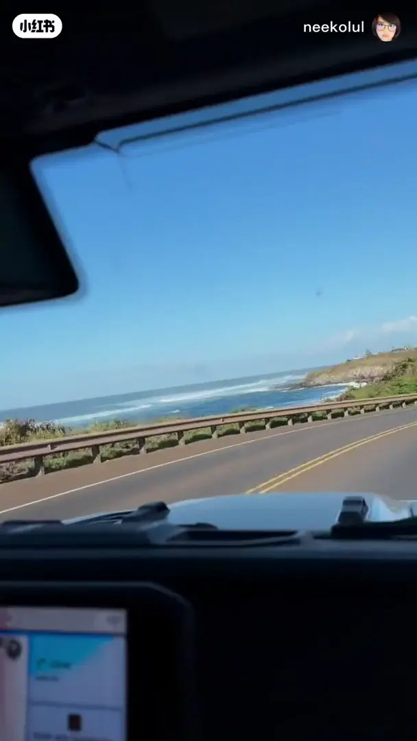 Neekolul OnlyFans Leaked Nude Video #171105