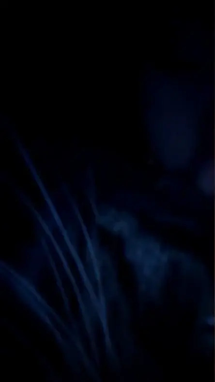 Diorrju OnlyFans Leaked Nude Video #186757