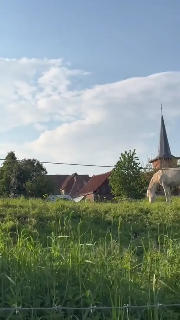 Ilonaaln OnlyFans Leaked Nude Video #190376