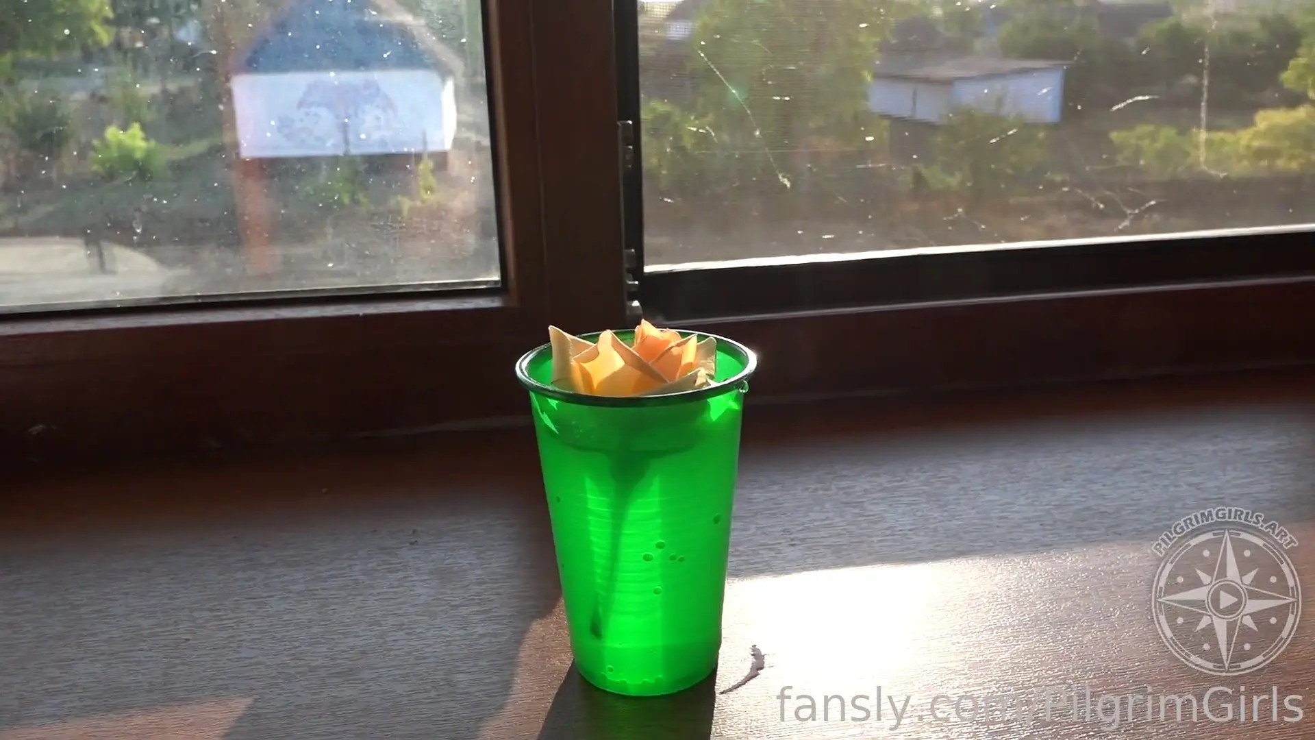 Pilgrimgirl OnlyFans Leaked Nude Video #190630