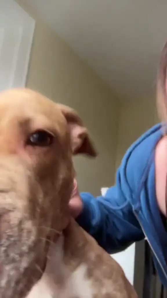 Jolieboero OnlyFans Leaked Nude Video #212251