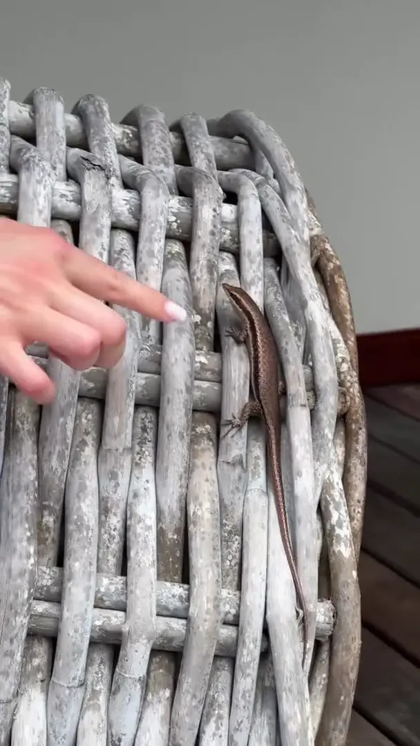 Bruletova_ OnlyFans Leaked Nude Video #213351