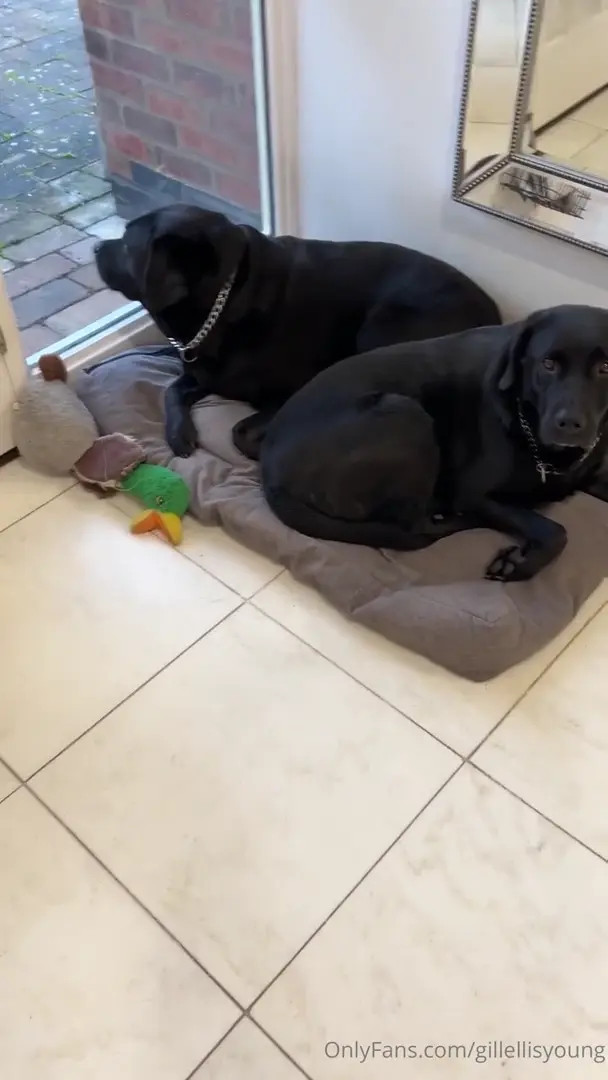 Theeladysiren OnlyFans Leaked Nude Video #220868