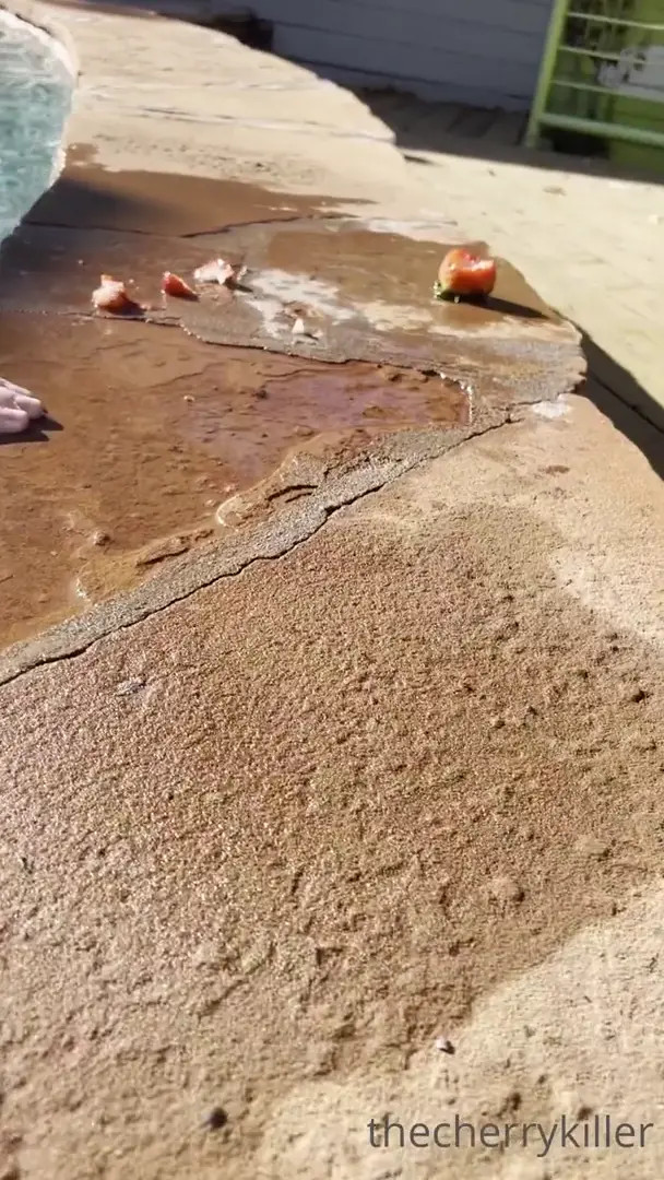 Thestrawberrybutcher OnlyFans Leaked Nude Video #222382