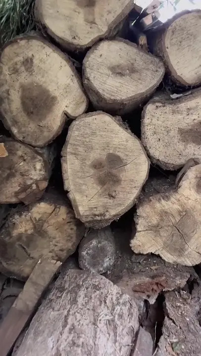 Little Elf Belhino Teases With Her Body