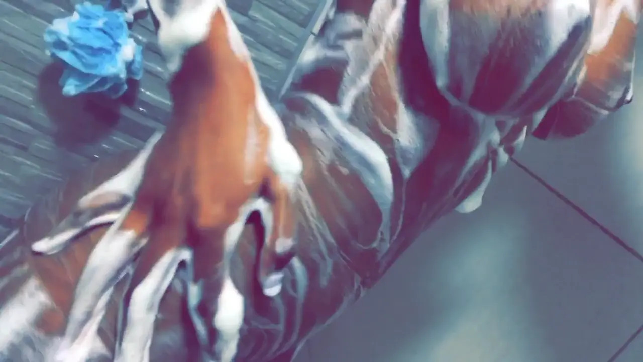 Nudedreams OnlyFans Leaked Nude Video #228224