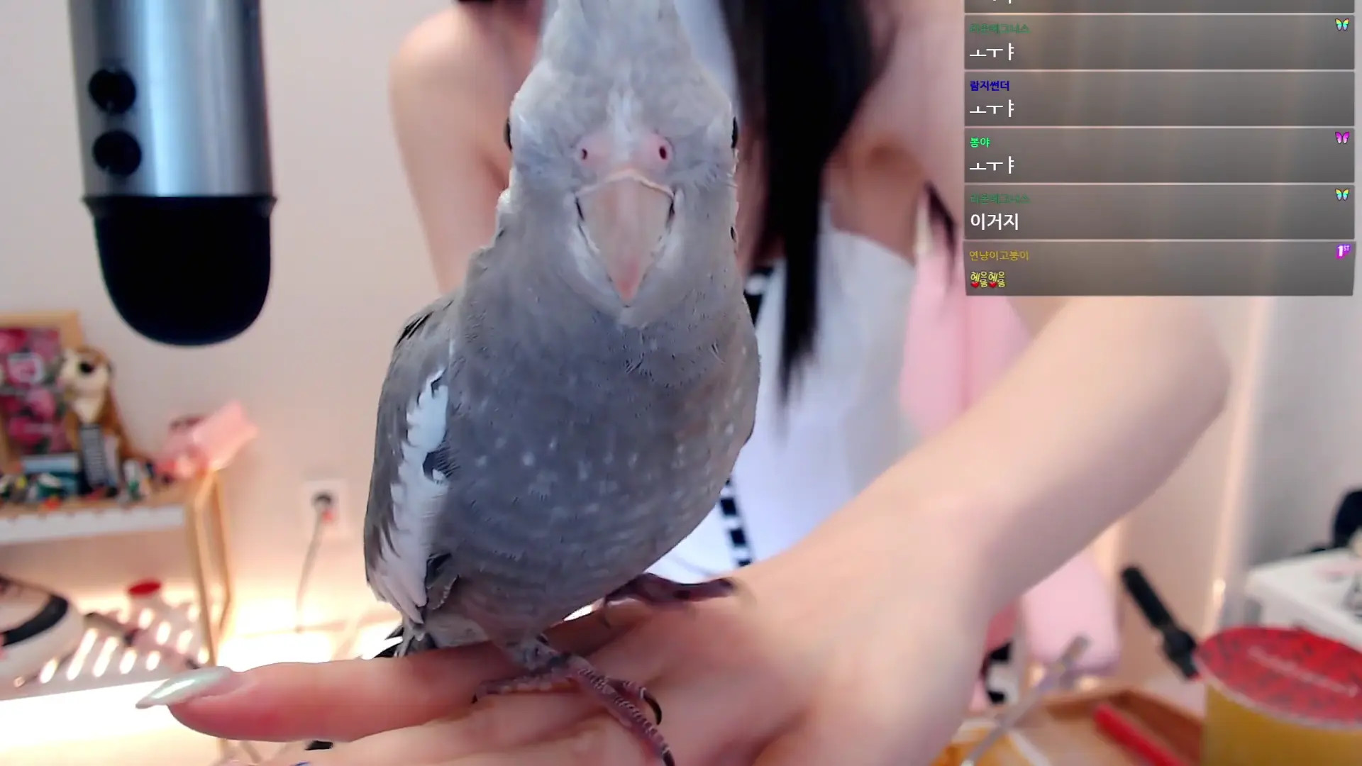 Nnabiyeon OnlyFans Leaked Nude Video #230759