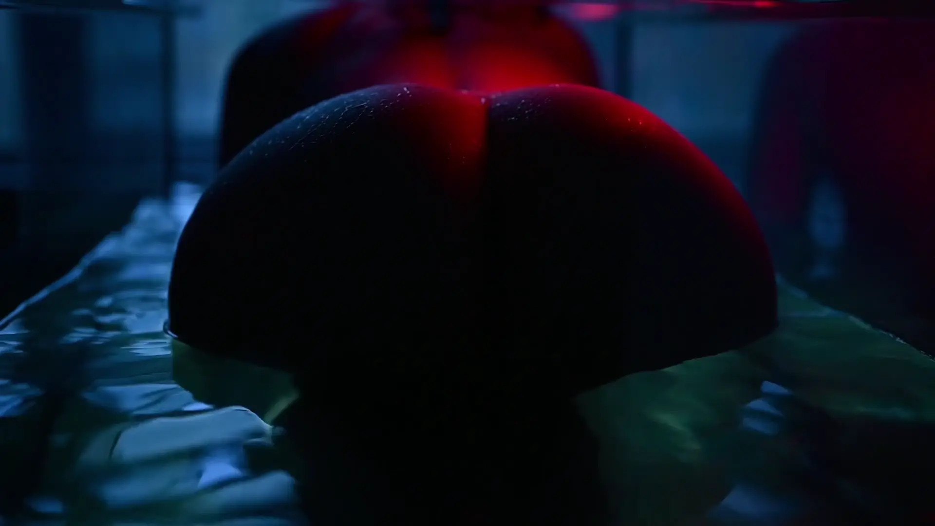 Aksinya_carrot OnlyFans Leaked Nude Video #231072