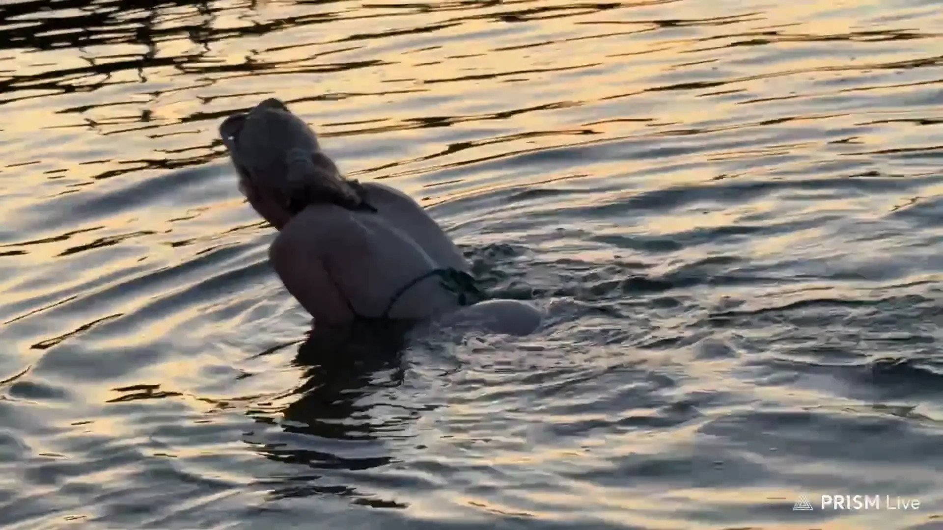 _polina_li_ OnlyFans Leaked Nude Video #232271 - ePornLeak