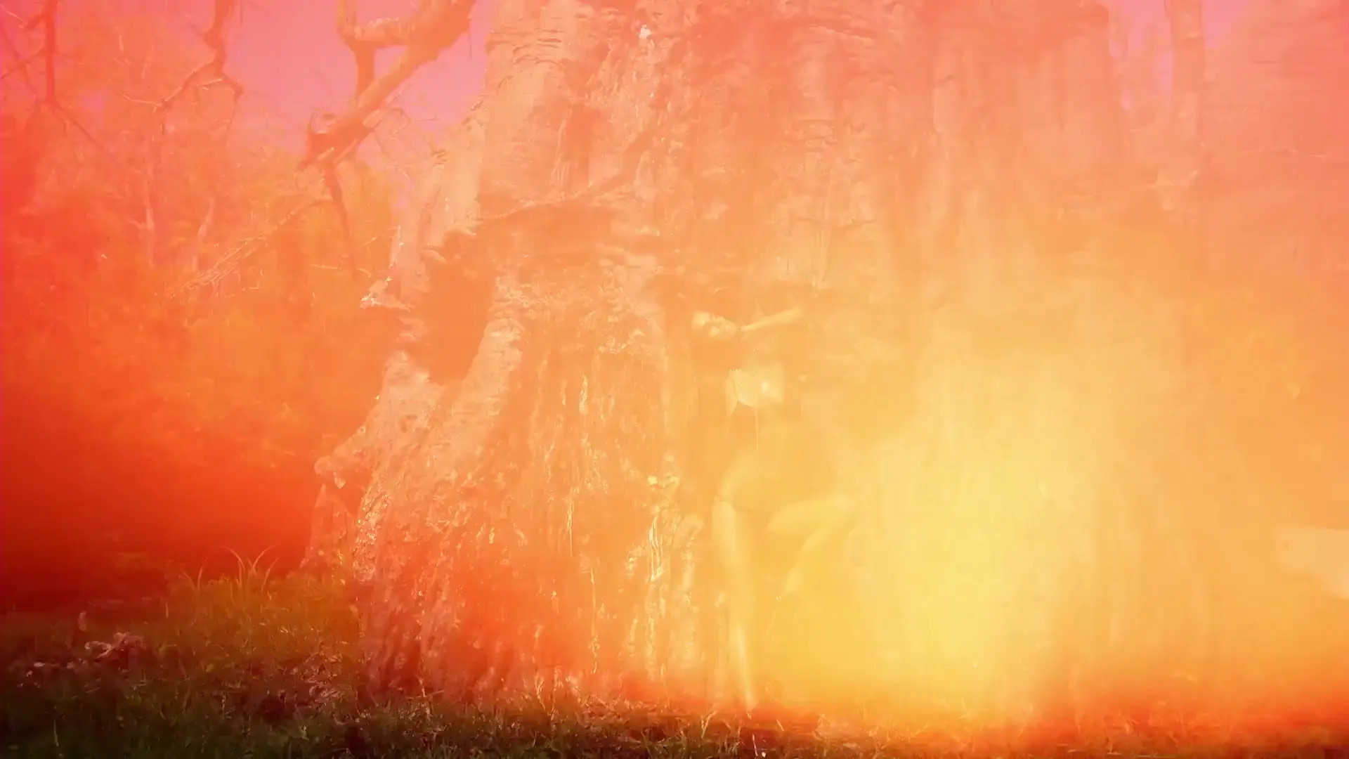 Ninaagdal OnlyFans Leaked Nude Video #233261 - ePornLeak