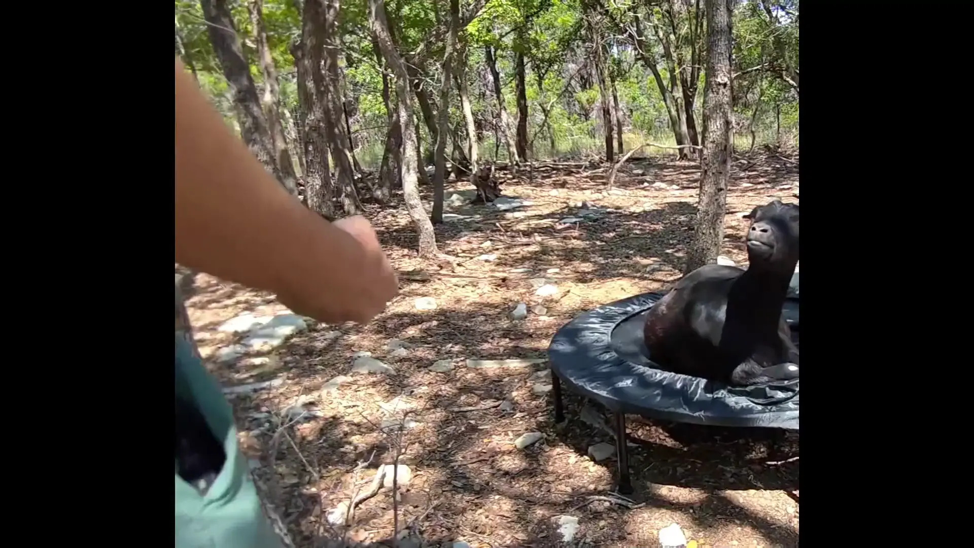 Maya_higa OnlyFans Leaked Nude Video #245432