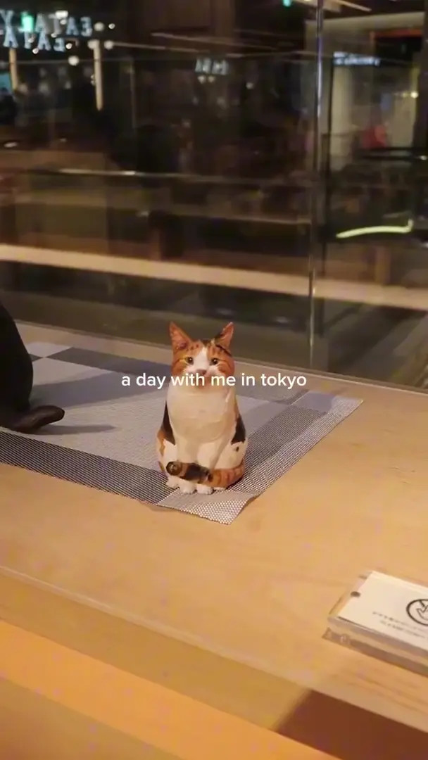 Miafitz OnlyFans Leaked Nude Video #247317 - ePornLeak