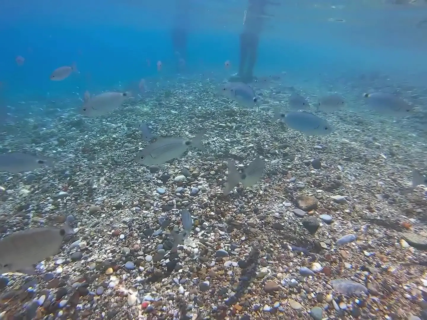 Ailish_morrison OnlyFans Leaked Nude Video #254303 - ePornLeak