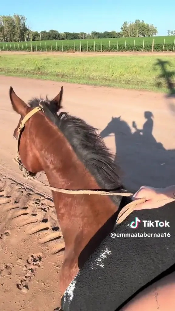 Emmatabernaokkk OnlyFans Leaked Nude Video #258592