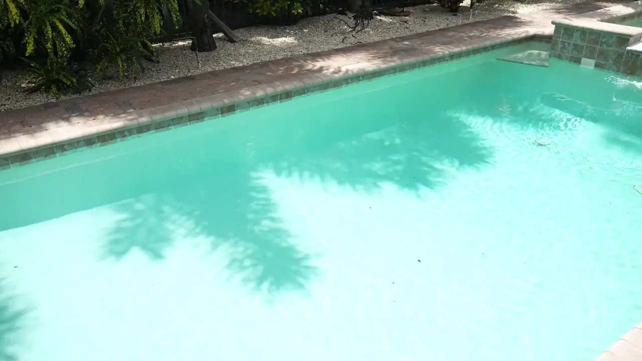 Ambie Bambi Blows Her Boyfriend By The Pool