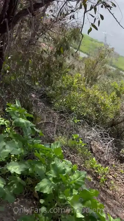 MoodieMaggie Sucks A Cock In Woods