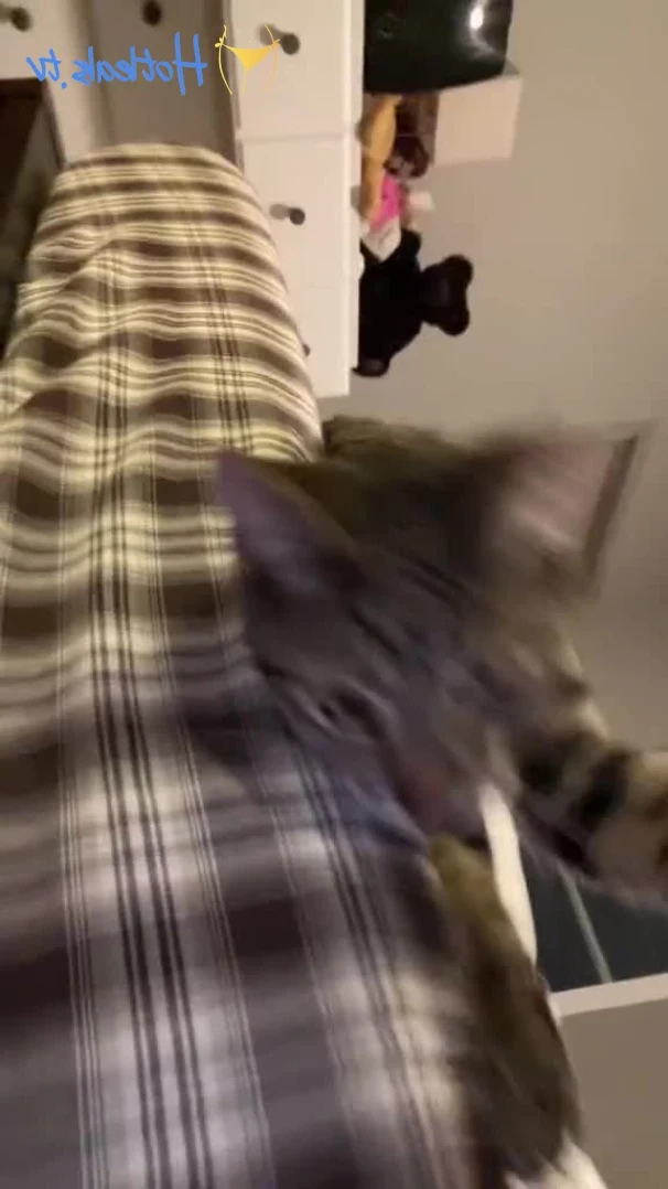 hannah <3 [ hannahowo ] - Let’s get erotic 💦 - ePornLeak