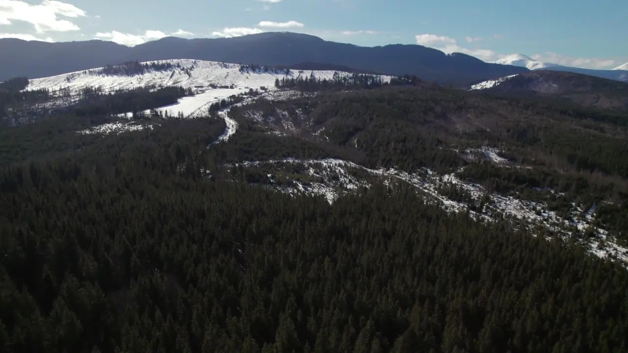 Hot Ave Estel Seduces You In A Cabin - ePornLeak