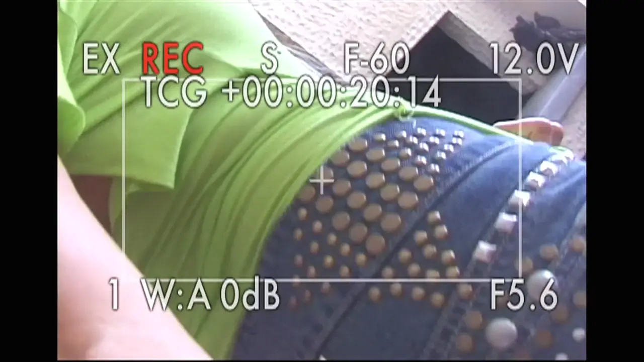 Gina Lynn Enjoys Her Pussy Getting Licked