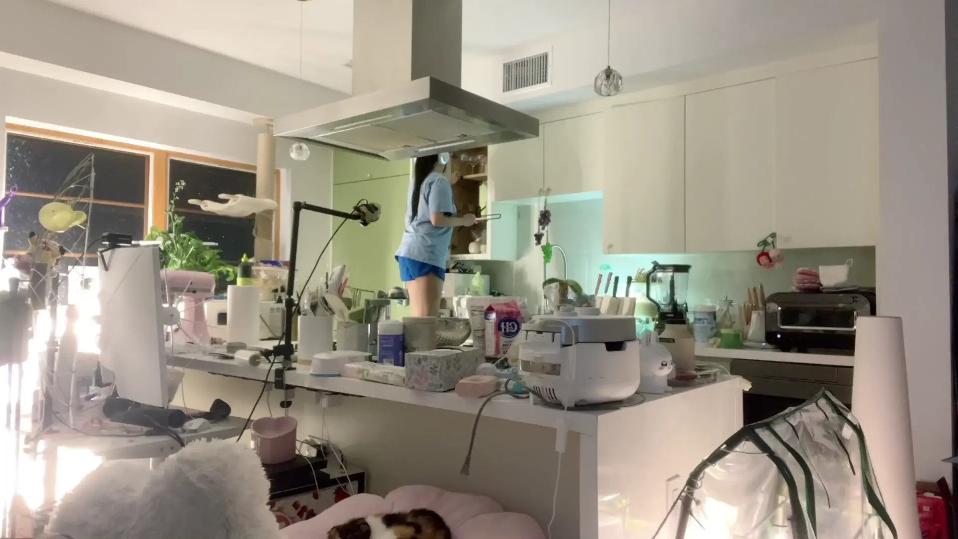 Mariashai OnlyFans Leaked Nude Video #268423 - ePornLeak