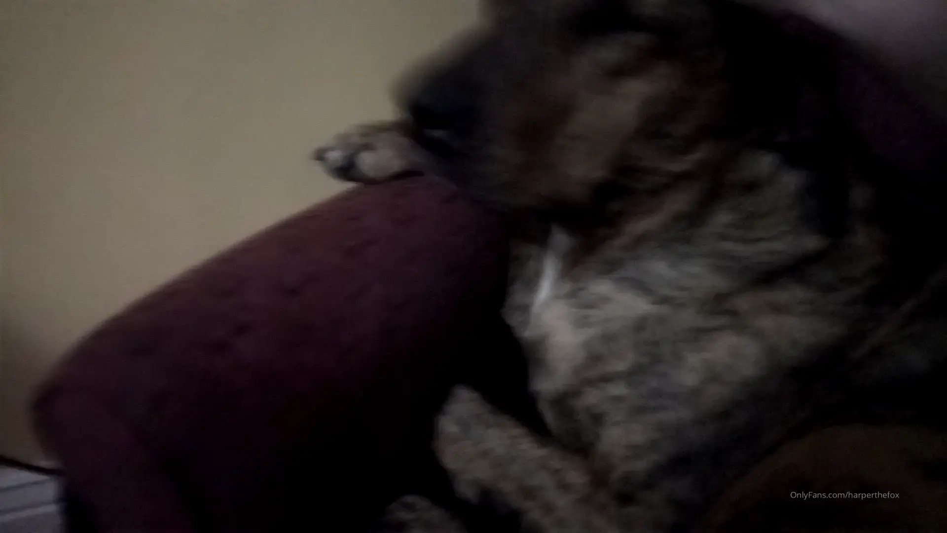 Harperthefox OnlyFans Leaked Nude Video #268666