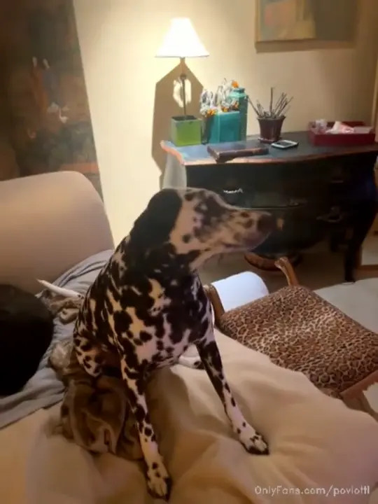 Ally Lotti Teases In the Evening