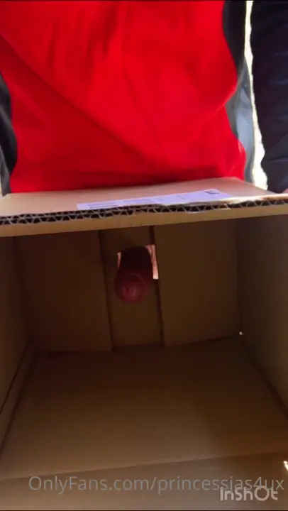 Princessjas4ux Delivers A Special Sex Package - ePornLeak