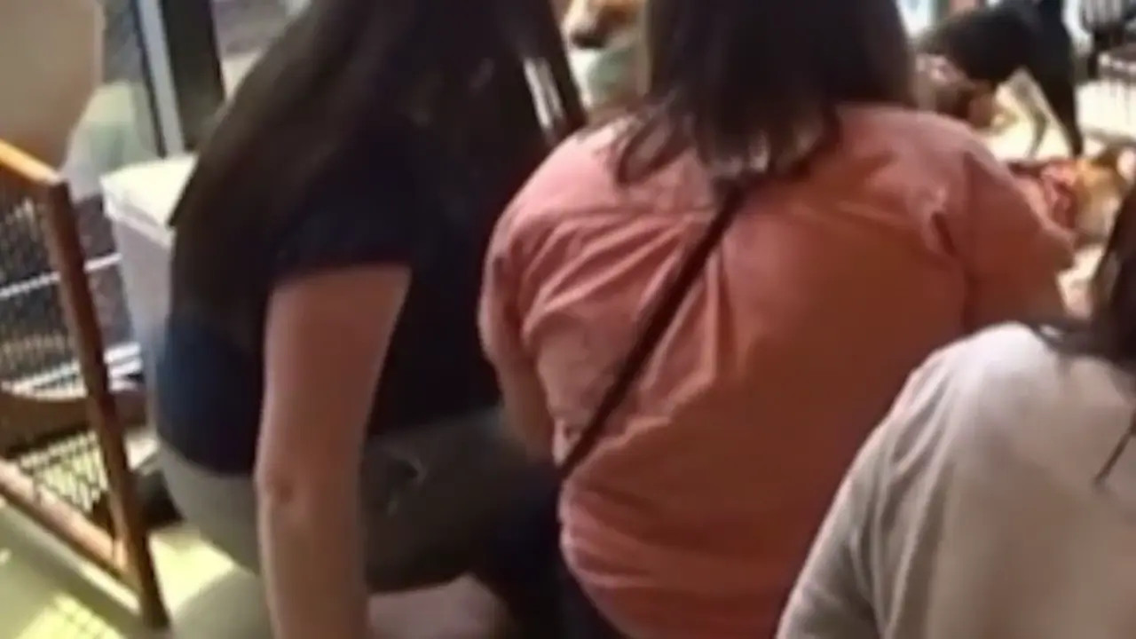 Bananabrea OnlyFans Leaked Nude Video #287546