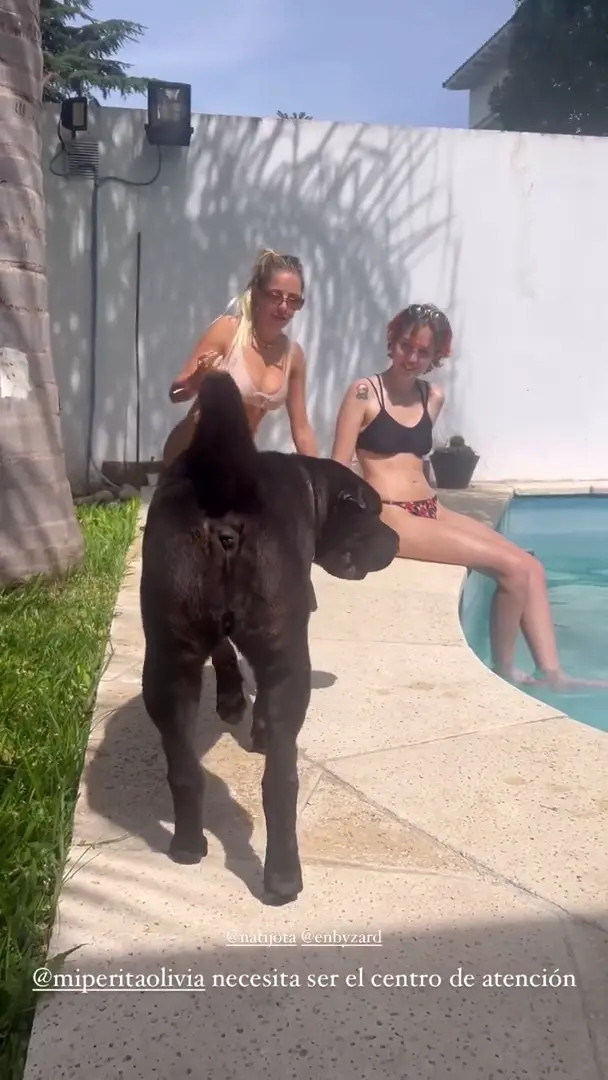 Natijota OnlyFans Leaked Nude Video #293338