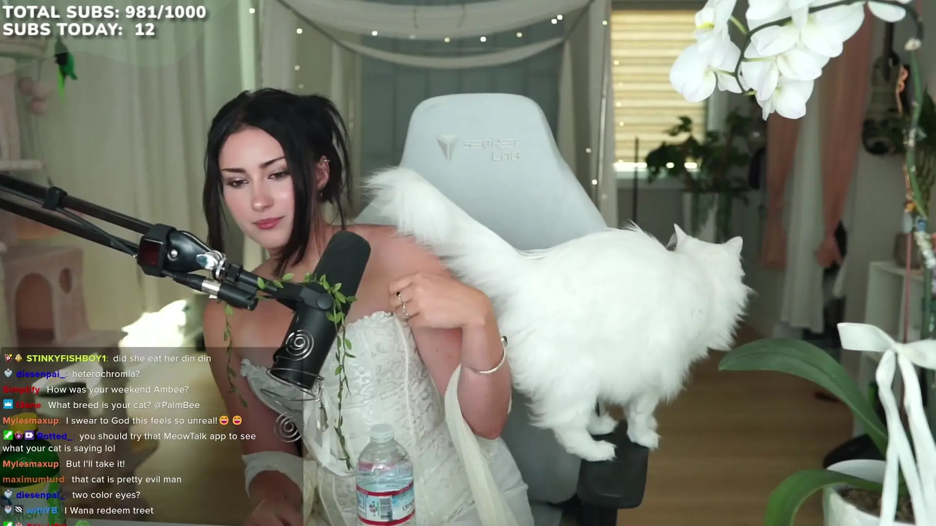 Palmbeee OnlyFans Leaked Nude Video #303915