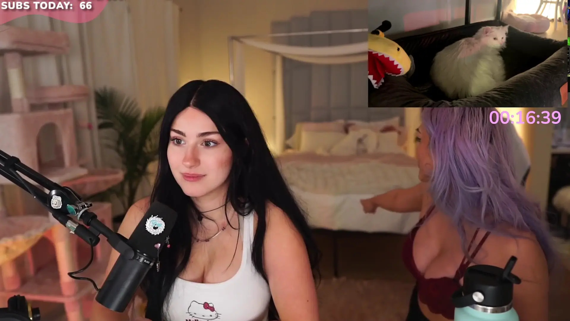 Palmbeee OnlyFans Leaked Nude Video #303935