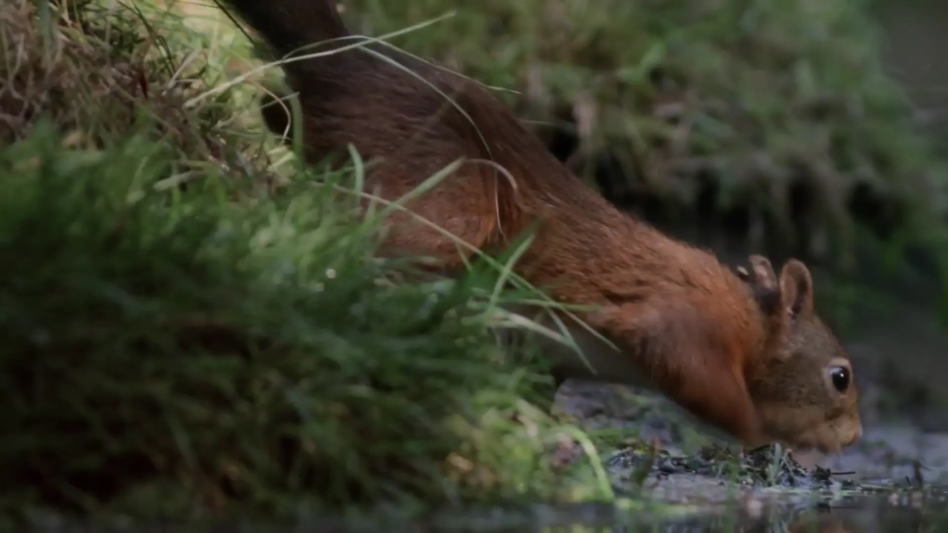 Imbrettcooper OnlyFans Leaked Nude Video #307454 - ePornLeak