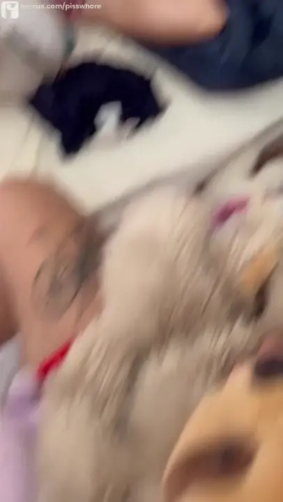 Lana Michaels Puts Condom On A Cock - ePornLeak