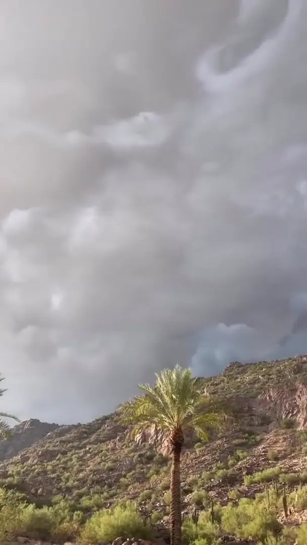 Foreverarchbishop OnlyFans Leaked Nude Video #312358 - ePornLeak