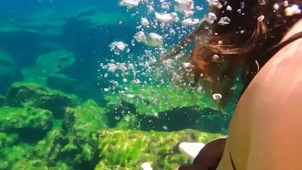 Westbrooks OnlyFans Leaked Nude Video #317999 - ePornLeak