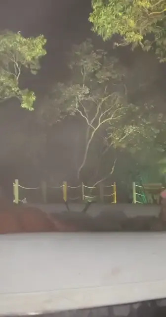 Gabrielaguillen OnlyFans Leaked Nude Video #318104