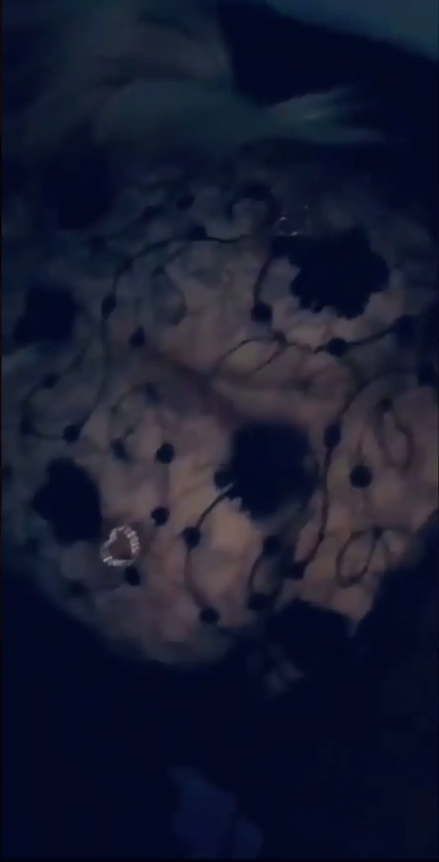 Halloween OnlyFans Leaked Nude Video #318716 - ePornLeak