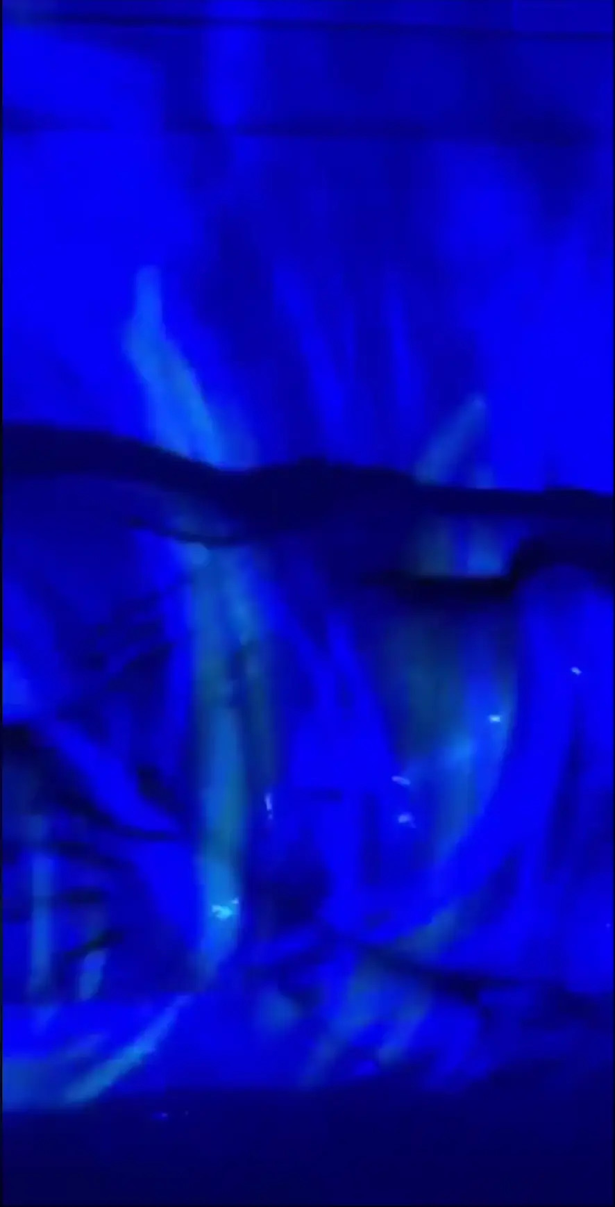 Halloween OnlyFans Leaked Nude Video #318728