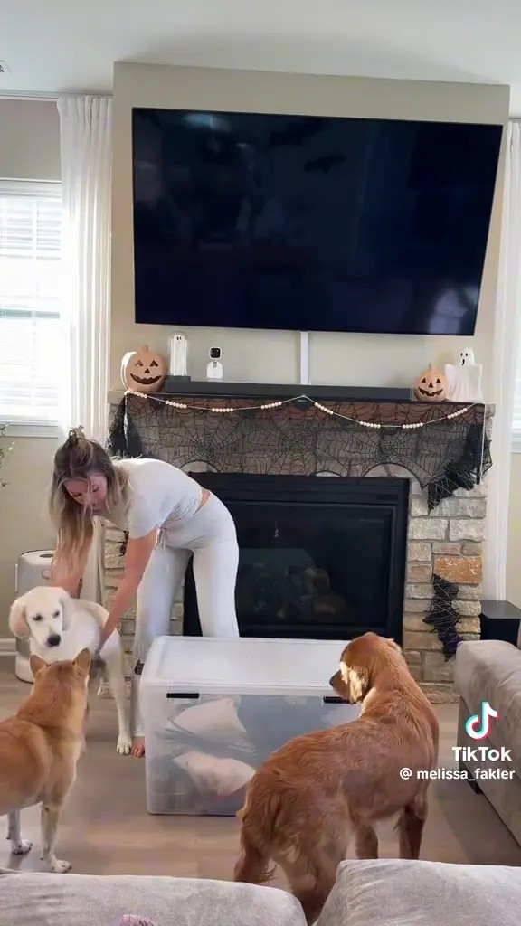 Melissa_fakler OnlyFans Leaked Nude Video #319214