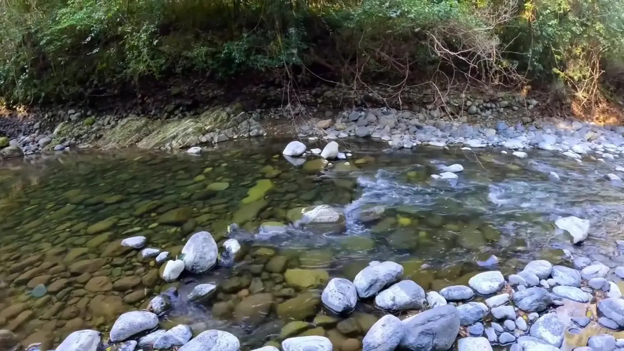 Mollydix OnlyFans Leaked Nude Video #338245